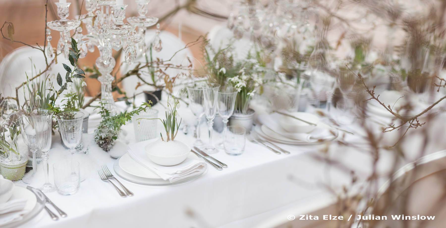 Snowdrop Banquet at the RHS