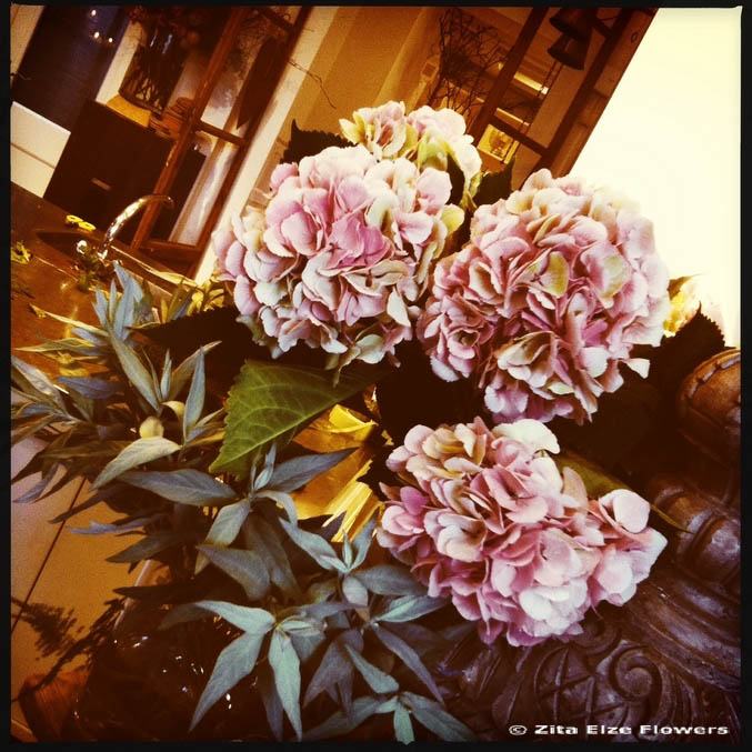 2015 Flower School Classes