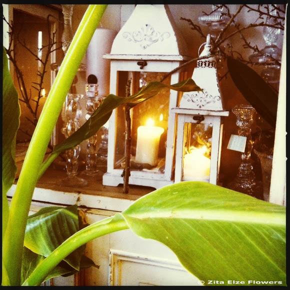 Candle In The Wind