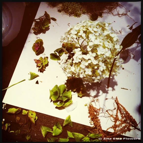Floral Embroidery Class July 2014