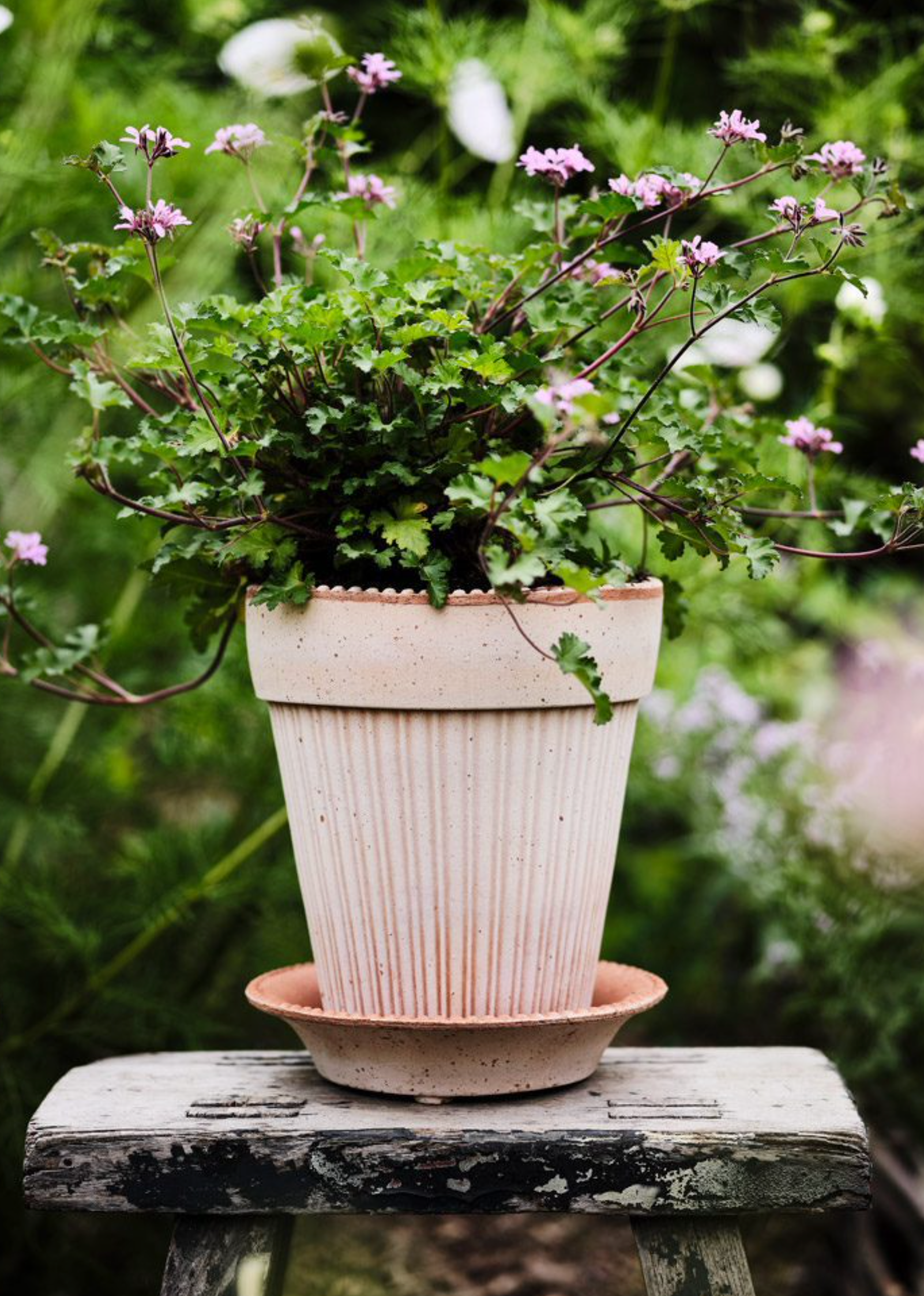 Bergs Potter - Simona Raw Rosa