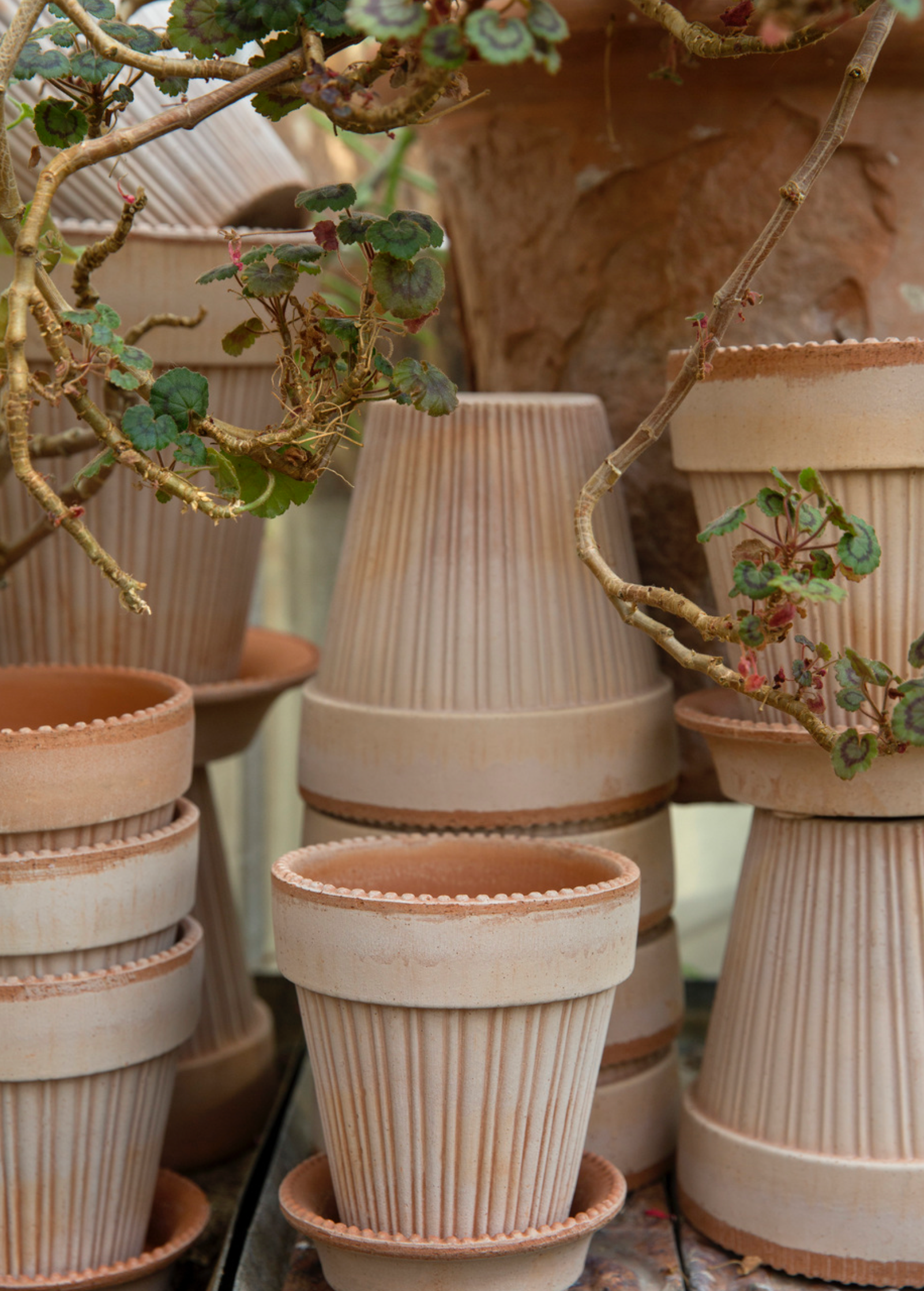 Bergs Potter - Simona Raw Rosa
