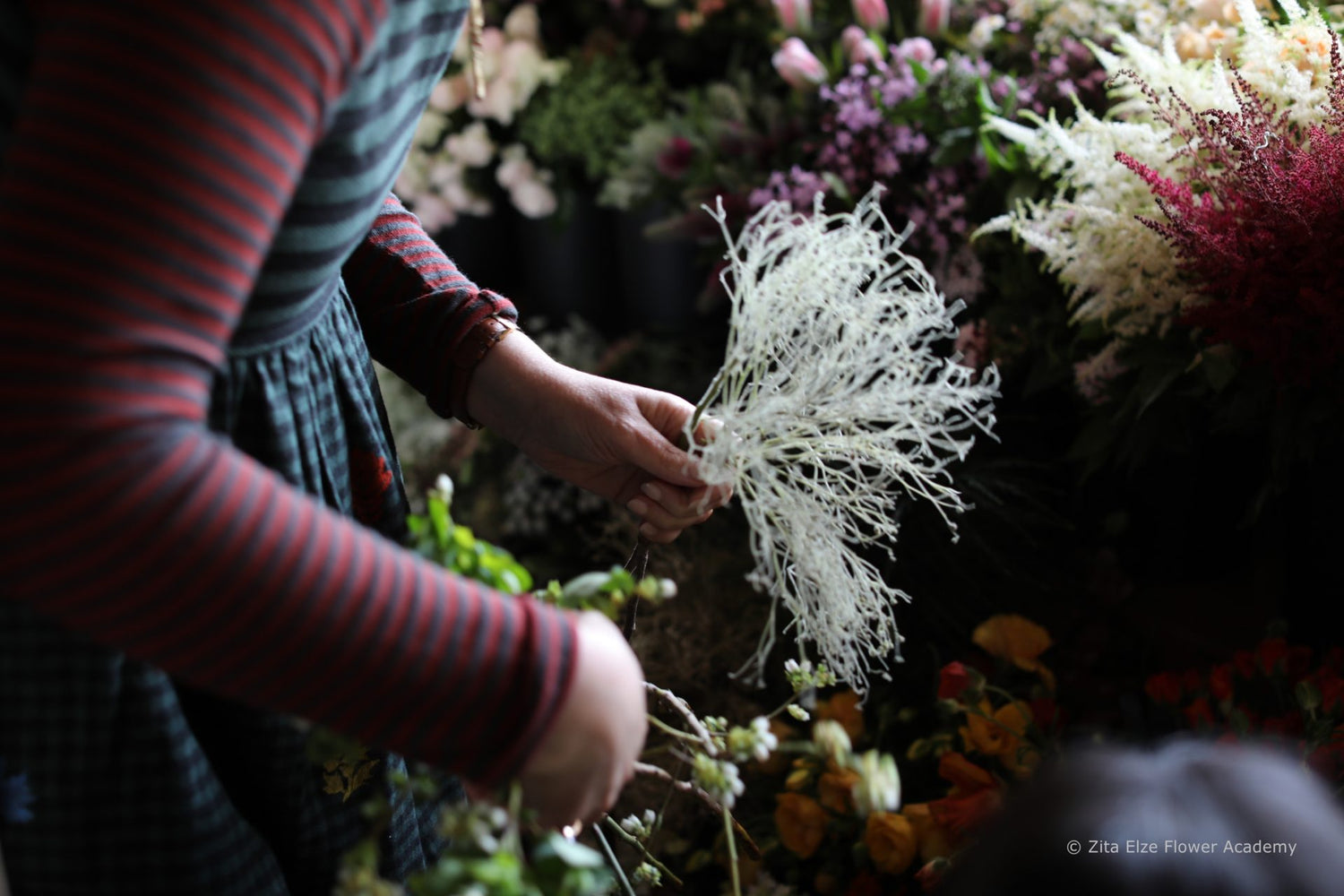 Woman hands holding flowers