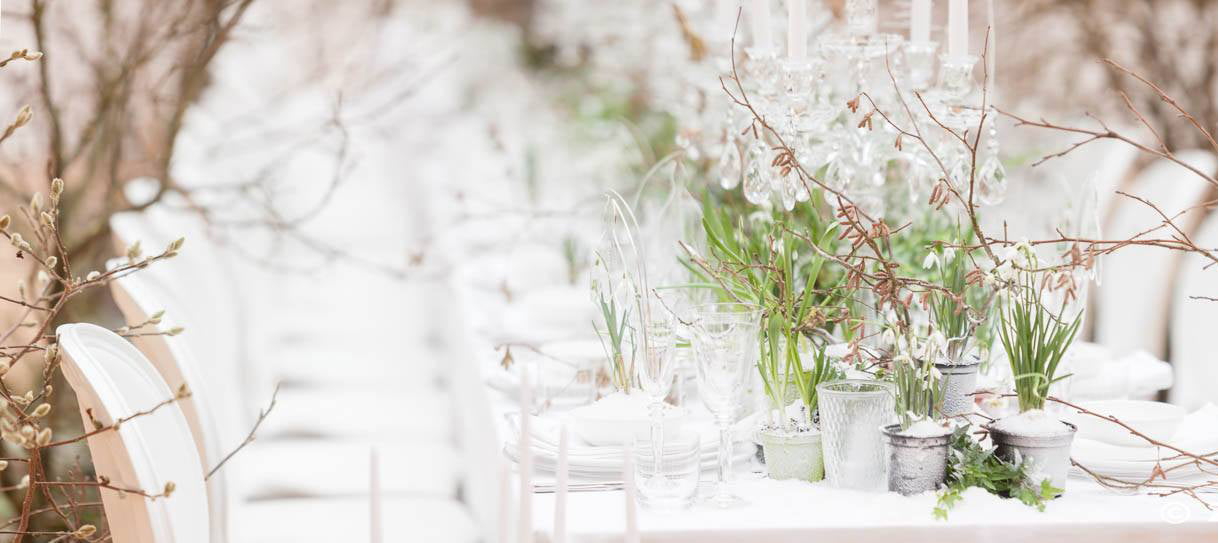 small plant pots on a wedding dining table set