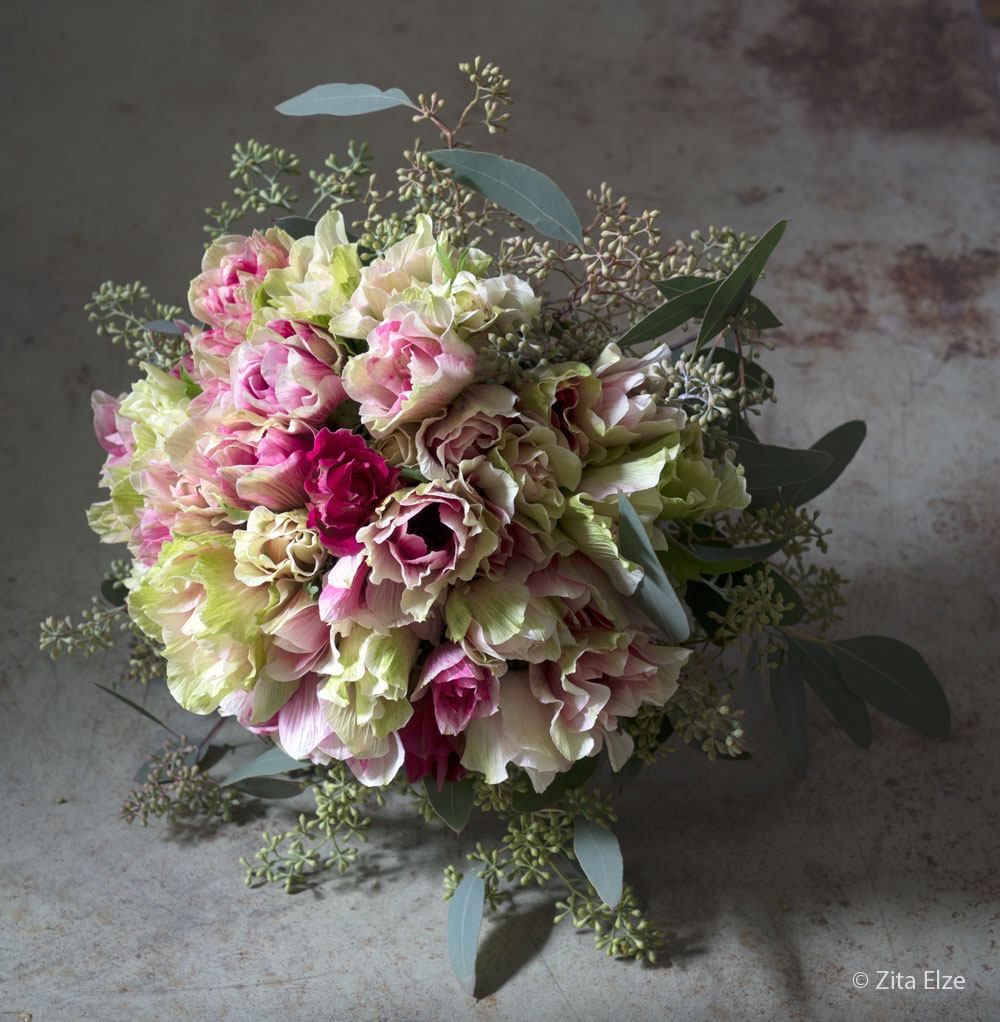 Ivory Raspberry Blush
