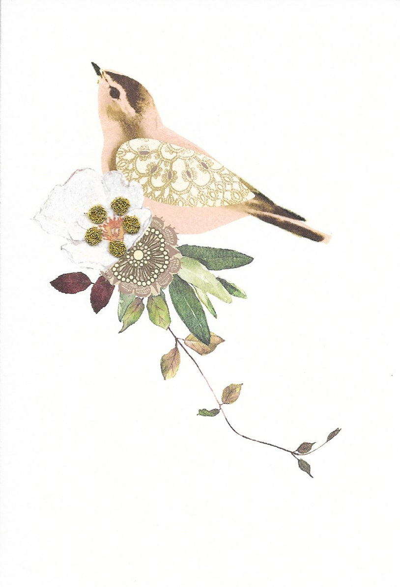 Coral Bird