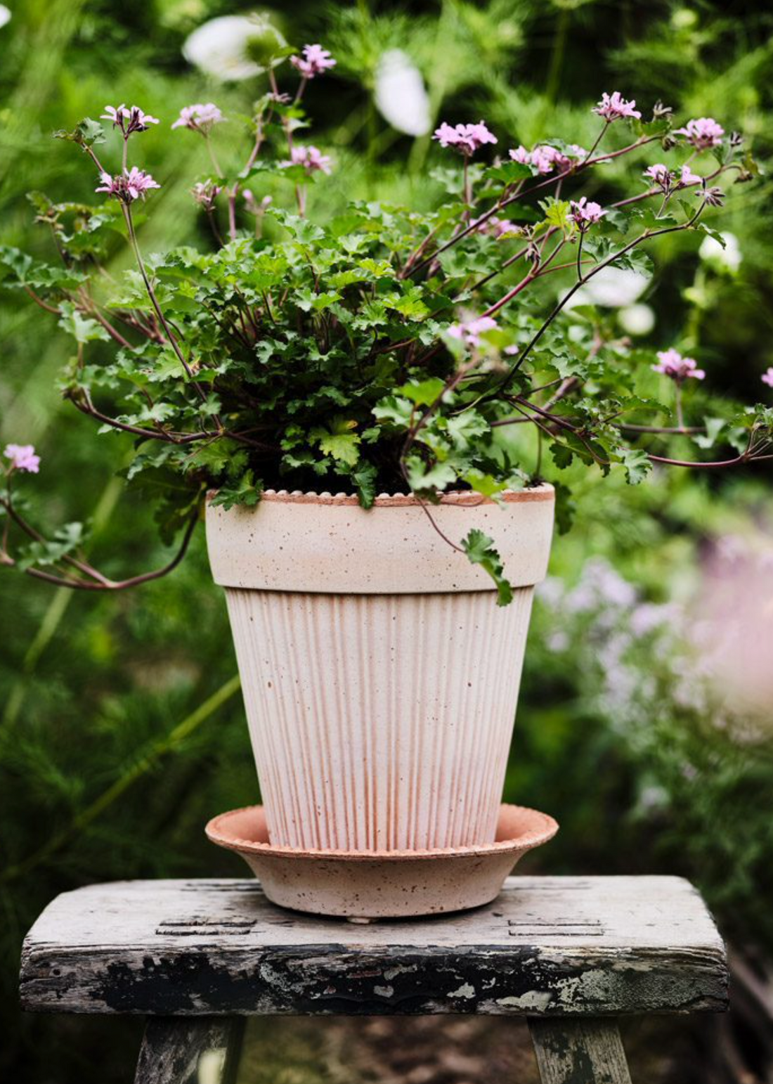 Bergs Potter - Simona Raw Rosa