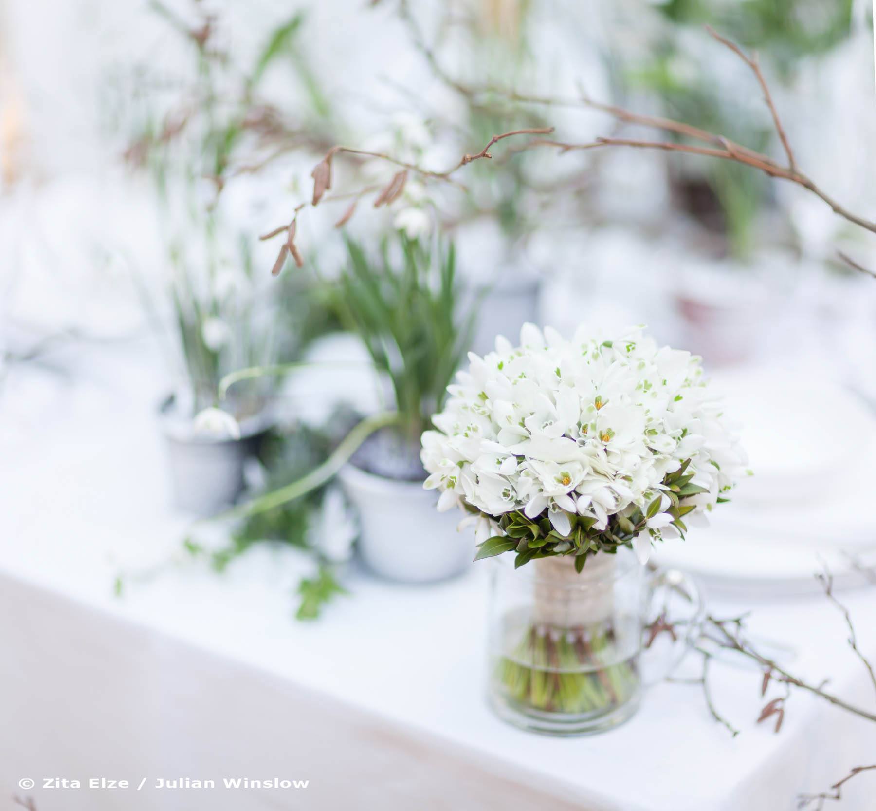 zoom in of a small white flower bouquet on a table with other small plant plots